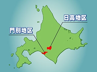 速報 もてもてナインティナイン お見合い大作戦 北海道日高町 ちょっと気になる 何か気になる 注目ニュース